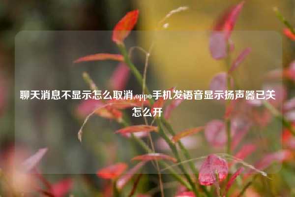 聊天消息不显示怎么取消,oppo手机发语音显示扬声器已关怎么开