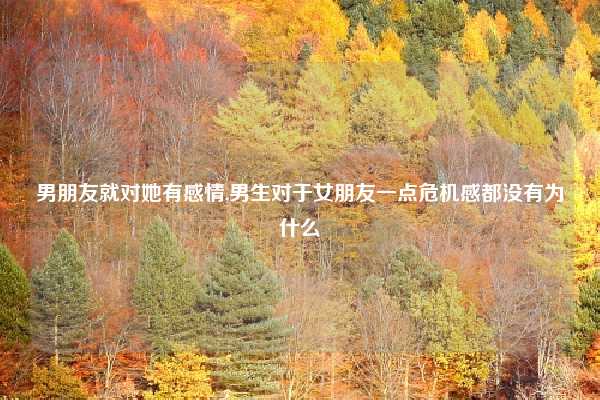 男朋友就对她有感情,男生对于女朋友一点危机感都没有为什么