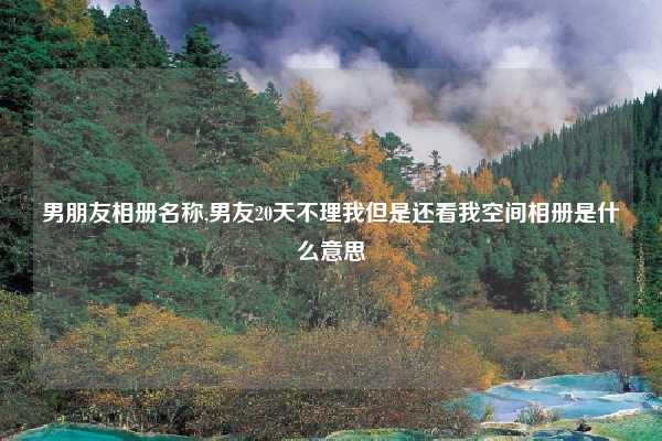 男朋友相册名称,男友20天不理我但是还看我空间相册是什么意思