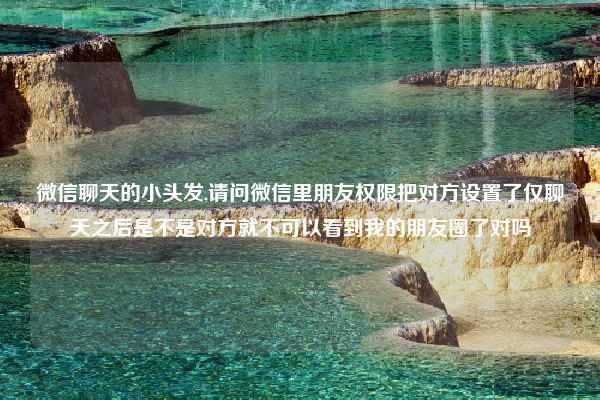 微信聊天的小头发,请问微信里朋友权限把对方设置了仅聊天之后是不是对方就不可以看到我的朋友圈了对吗