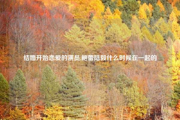 结婚开始恋爱的演员,鲍蕾陆毅什么时候在一起的