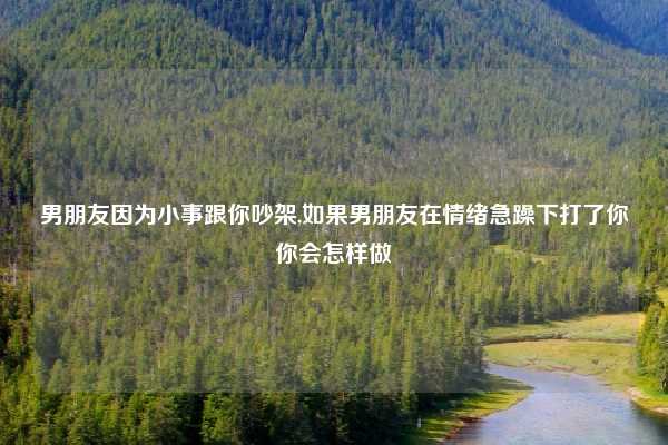 男朋友因为小事跟你吵架,如果男朋友在情绪急躁下打了你你会怎样做