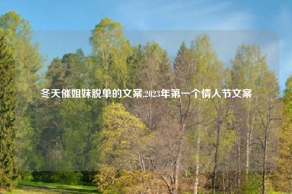 冬天催姐妹脱单的文案,2023年第一个情人节文案