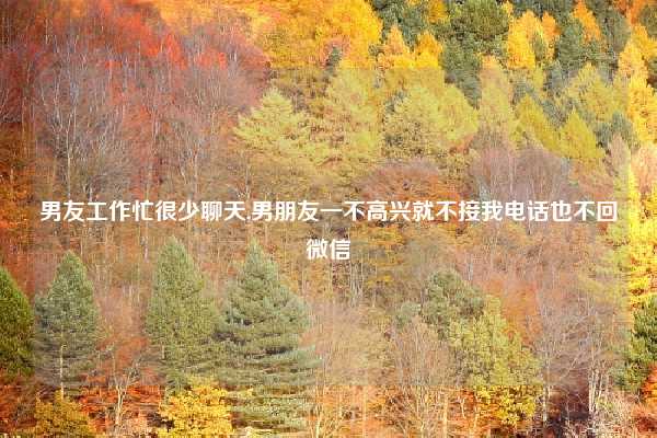 男友工作忙很少聊天,男朋友一不高兴就不接我电话也不回微信