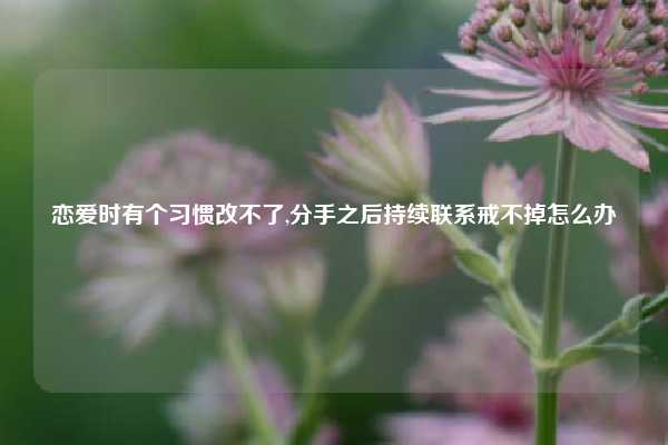 恋爱时有个习惯改不了,分手之后持续联系戒不掉怎么办