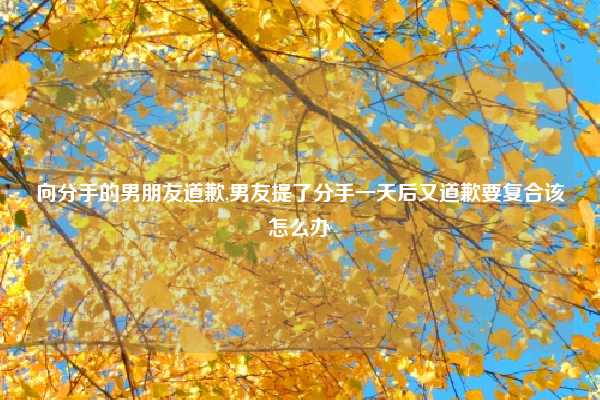 向分手的男朋友道歉,男友提了分手一天后又道歉要复合该怎么办