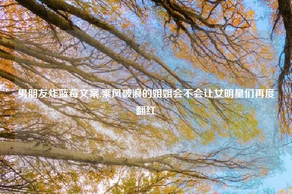 男朋友炸蓝莓文案,乘风破浪的姐姐会不会让女明星们再度翻红