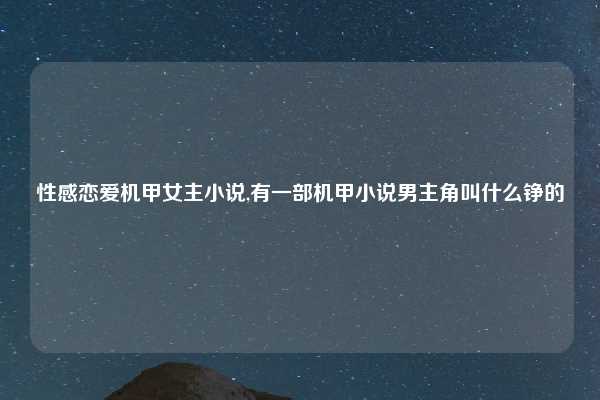 性感恋爱机甲女主小说,有一部机甲小说男主角叫什么铮的