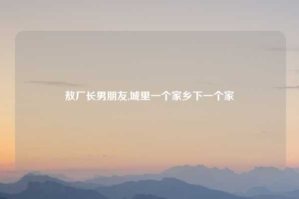 敖厂长男朋友,城里一个家乡下一个家