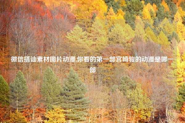 微信搭讪素材图片动漫,你看的第一部宫崎骏的动漫是哪一部