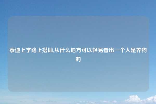泰迪上学路上搭讪,从什么地方可以轻易看出一个人是养狗的