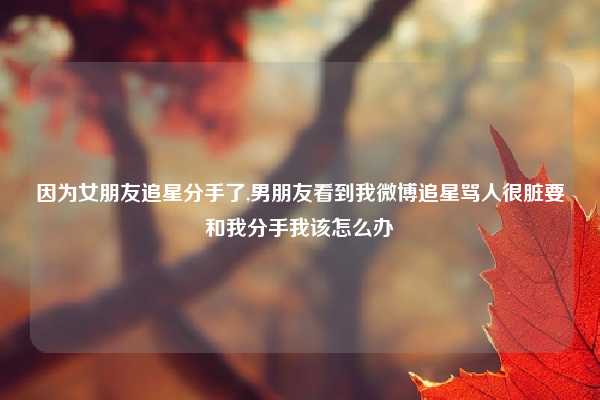因为女朋友追星分手了,男朋友看到我微博追星骂人很脏要和我分手我该怎么办