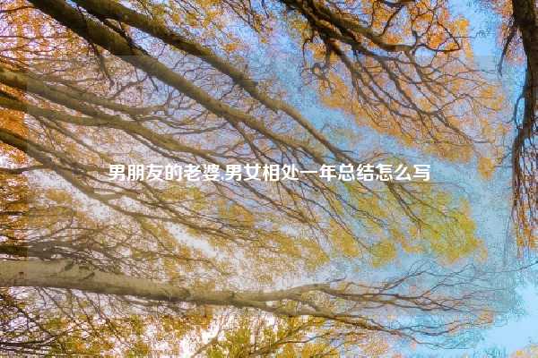 男朋友的老婆,男女相处一年总结怎么写