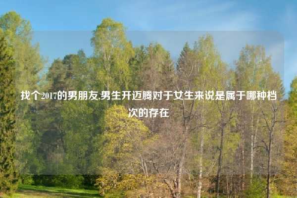 找个2017的男朋友,男生开迈腾对于女生来说是属于哪种档次的存在