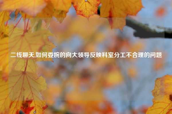 二线聊天,如何委婉的向大领导反映科室分工不合理的问题