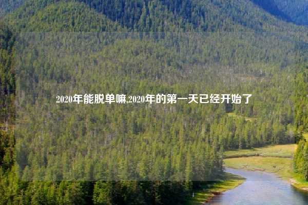 2020年能脱单嘛,2020年的第一天已经开始了