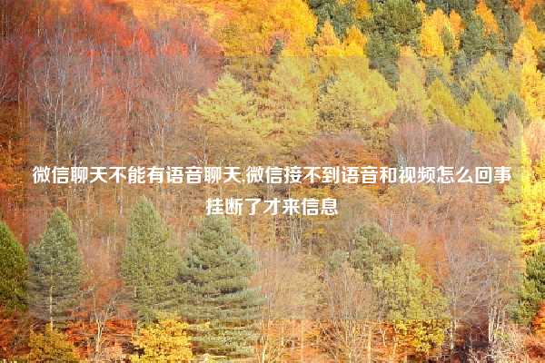 微信聊天不能有语音聊天,微信接不到语音和视频怎么回事挂断了才来信息