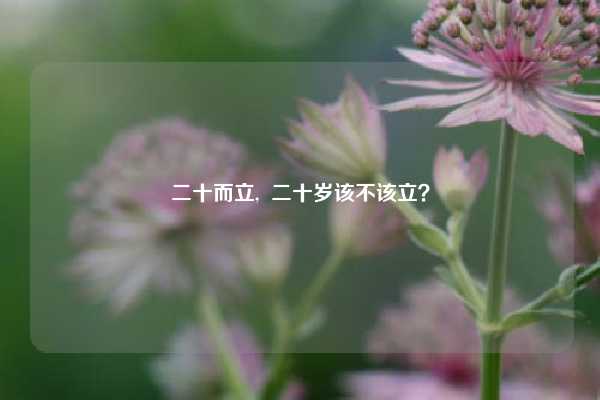 二十而立,  二十岁该不该立？