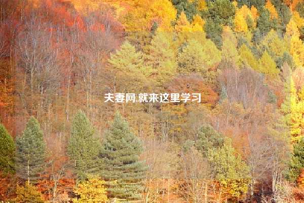 夫妻网,就来这里学习