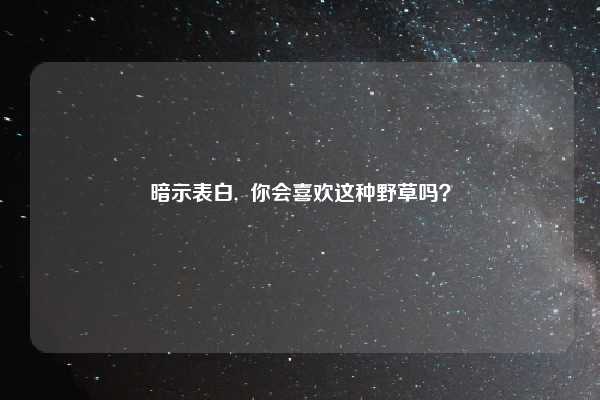 暗示表白,  你会喜欢这种野草吗？