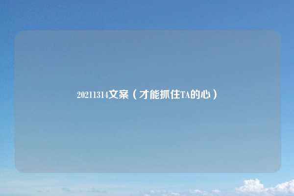 20211314文案（才能抓住TA的心）
