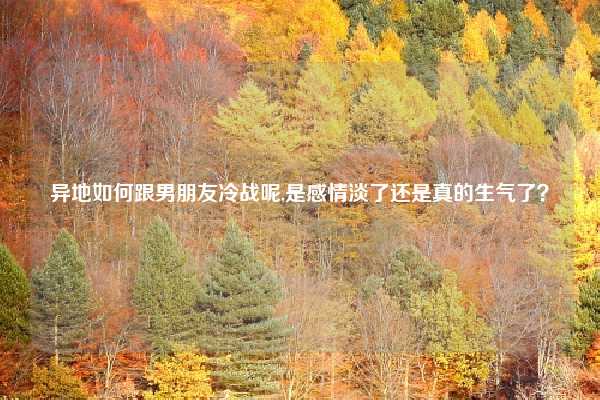 异地如何跟男朋友冷战呢,是感情淡了还是真的生气了？