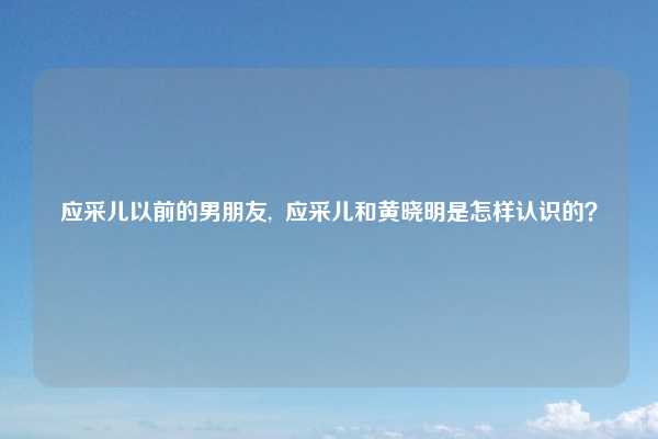 应采儿以前的男朋友,  应采儿和黄晓明是怎样认识的？