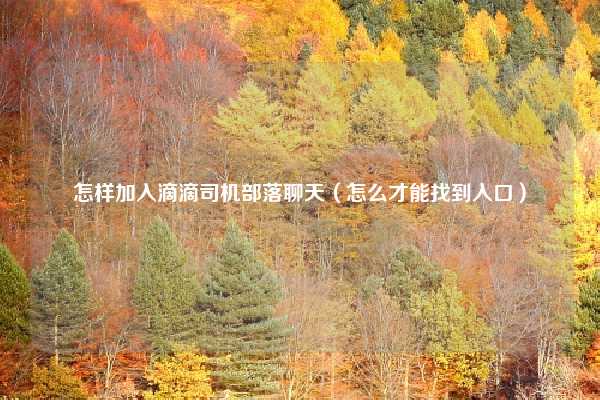 怎样加入滴滴司机部落聊天（怎么才能找到入口）