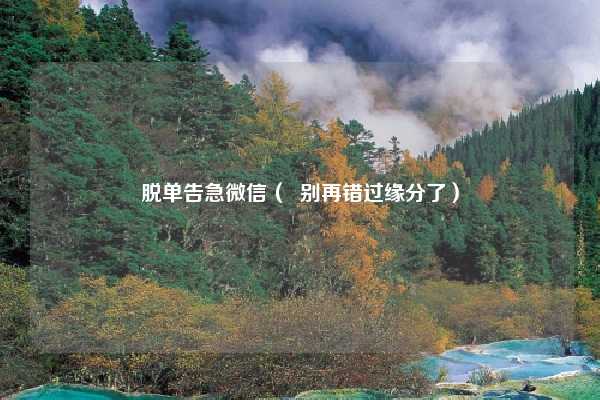 脱单告急微信（  别再错过缘分了）