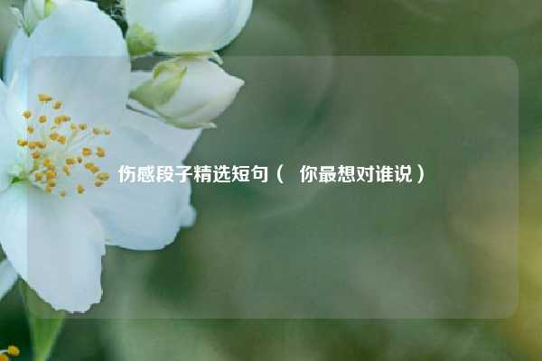 伤感段子精选短句（  你最想对谁说）