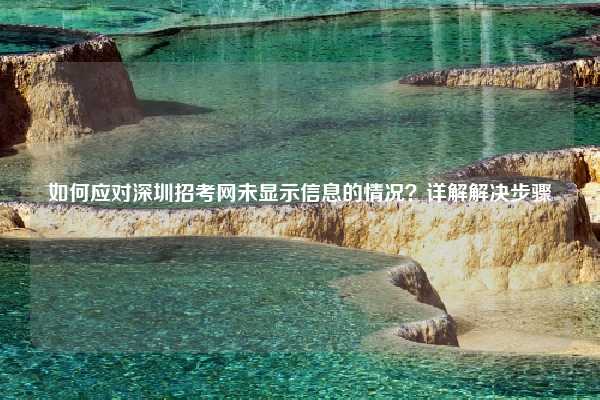 如何应对深圳招考网未显示信息的情况？详解解决步骤