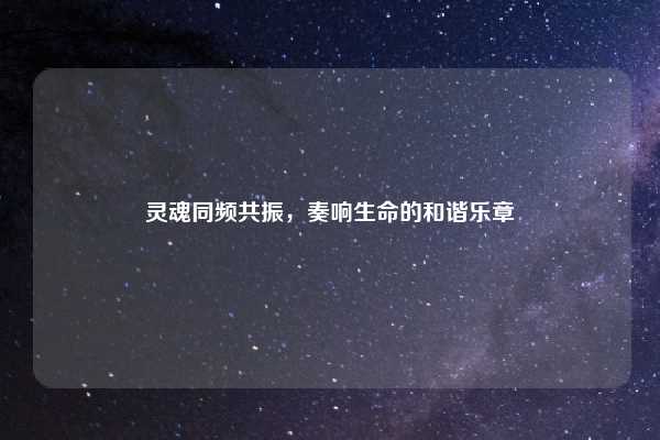 灵魂同频共振，奏响生命的和谐乐章