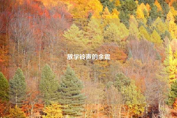 放学铃声的余震