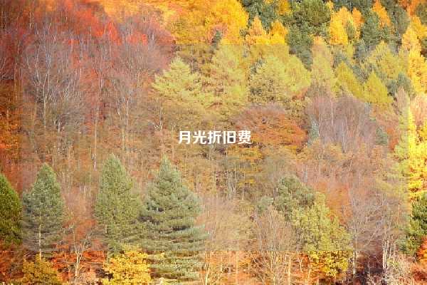 月光折旧费