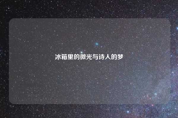 冰箱里的微光与诗人的梦