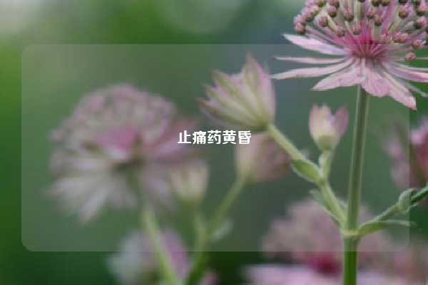止痛药黄昏