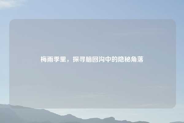 梅雨季里，探寻脑回沟中的隐秘角落