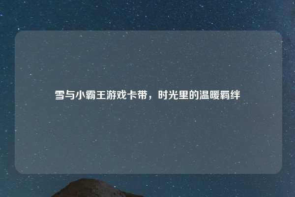 雪与小霸王游戏卡带，时光里的温暖羁绊