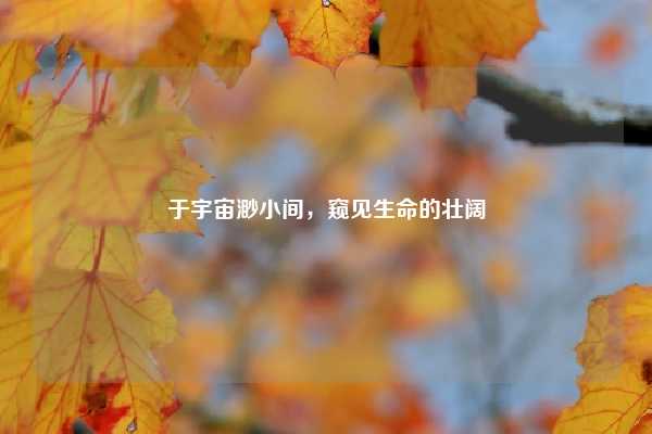 于宇宙渺小间，窥见生命的壮阔