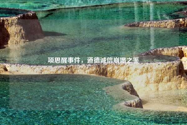 项思醒事件，道德诚信崩塌之鉴