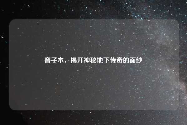 窨子木，揭开神秘地下传奇的面纱