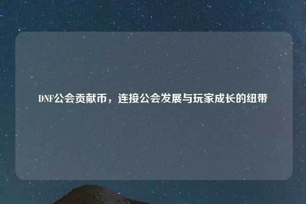 DNF公会贡献币，连接公会发展与玩家成长的纽带