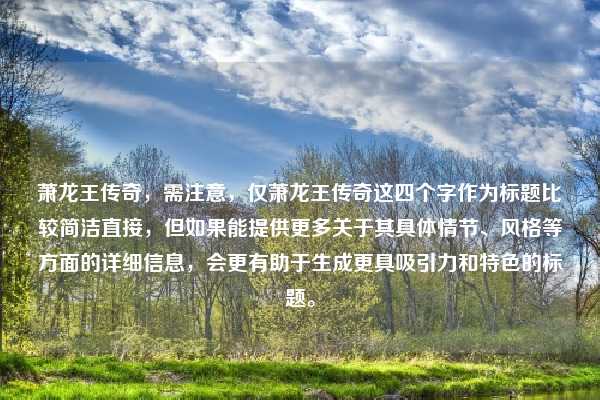 萧龙王传奇，需注意，仅萧龙王传奇这四个字作为标题比较简洁直接，但如果能提供更多关于其具体情节、风格等方面的详细信息，会更有助于生成更具吸引力和特色的标题。