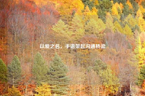 以爱之名，手语架起沟通桥梁