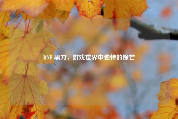 DNF 黑刀，游戏世界中独特的锋芒