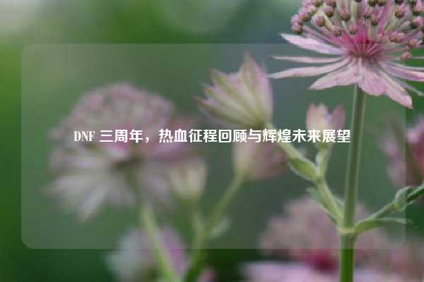 DNF 三周年，热血征程回顾与辉煌未来展望