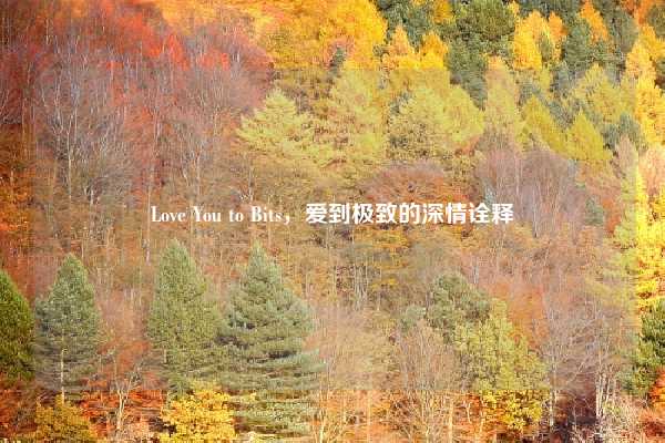 Love You to Bits，爱到极致的深情诠释