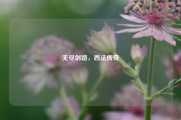 无尽剑路，西法传奇