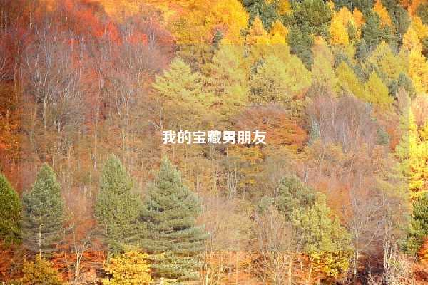 我的宝藏男朋友