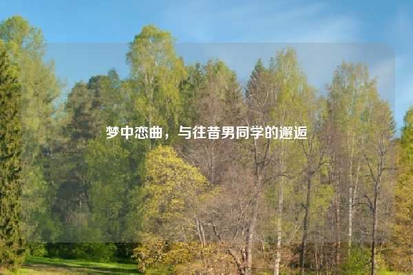 梦中恋曲，与往昔男同学的邂逅